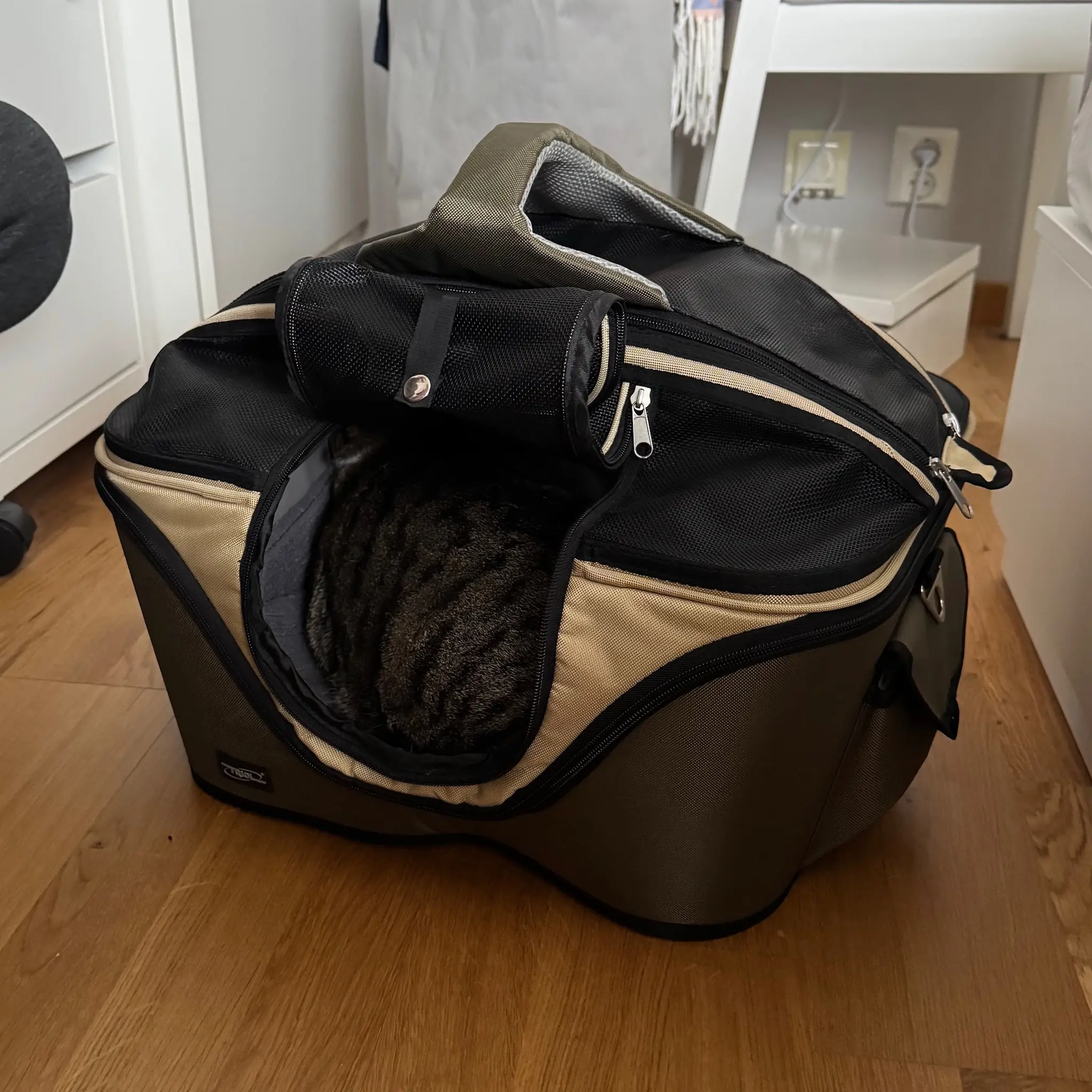 Carriage and new room